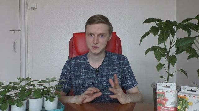 Совместимость БИОПРЕПАРАТОВ | Дружат ли СЕННАЯ ПАЛОЧКА (фитоспорин) и ТРИХОДЕРМА? смотреть онлайн