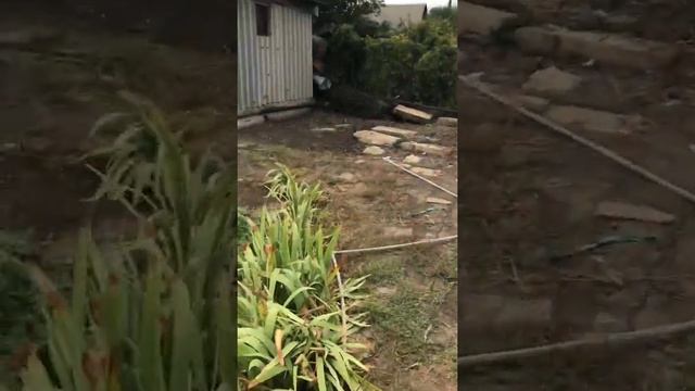 Декорирую сарай на даче