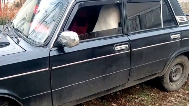 Авто чехол, белый смотреть онлайн