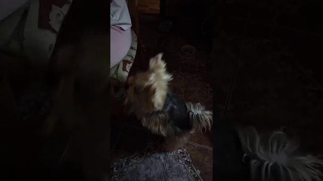 Мона простыла :) смотреть онлайн