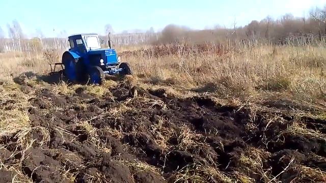 Поднятая целина!Мотоблок Угра против Трактора Т-40 !\разработка нового участка\ работа на целине смотреть онлайн