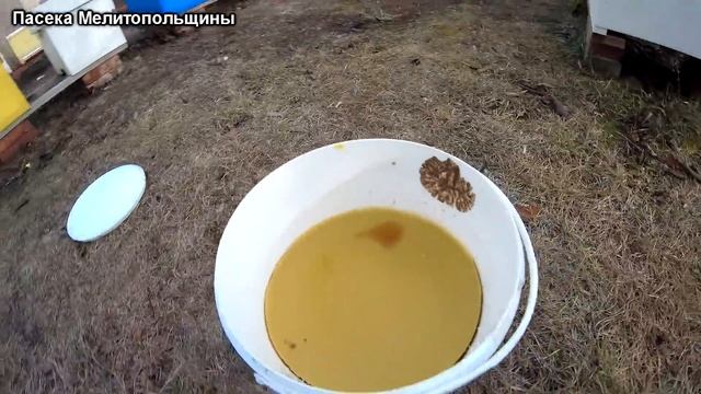 Качество воска из вощины смотреть онлайн