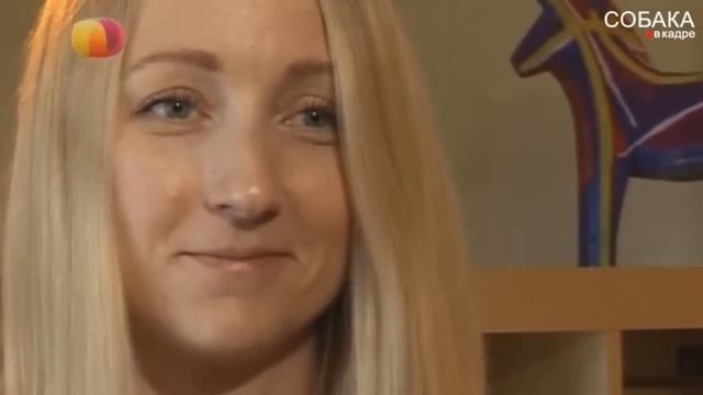 Как отучить собаку от кровати. Собака в доме. смотреть онлайн