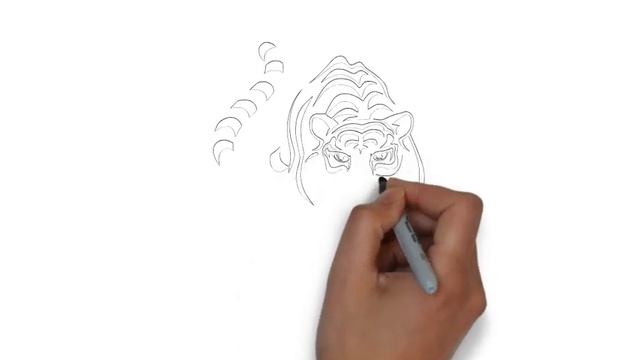 как нарисовать настоящего тигра, how to draw this tiger смотреть онлайн