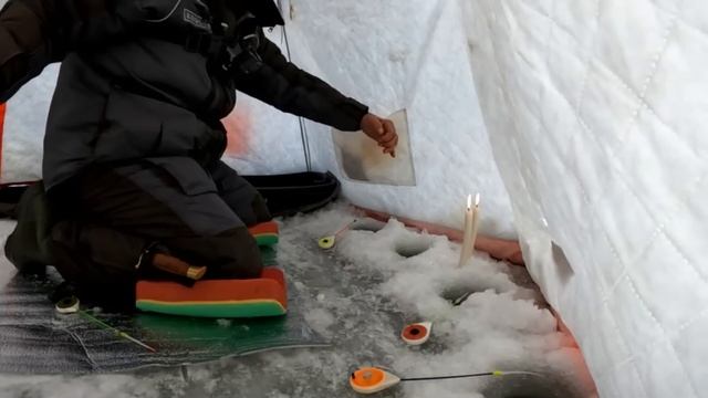 Мешок РЫБЫ с ОДНОЙ ЛУНКИ!!! ЭТО РЕАЛЬНО!!! Здесь НЕПУГАНАЯ рыба! На ЧТО ЛОВИТЬ КАРАСЯ зимой со льда смотреть онлайн