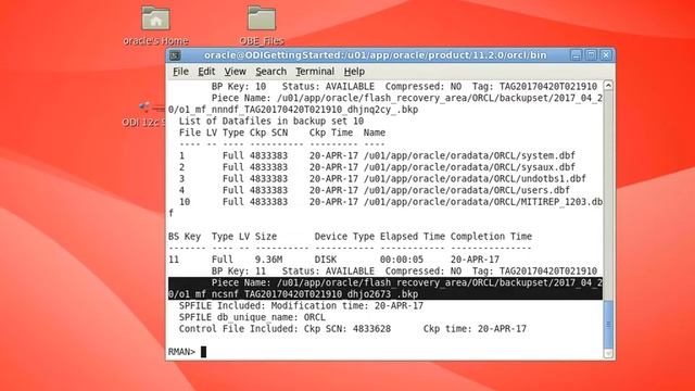 Backup de una base de datos Oracle con RMAN смотреть онлайн