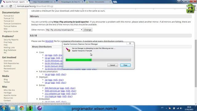 Instalação Servidor Apache Tomcat 8 - Java ee - 002 смотреть онлайн