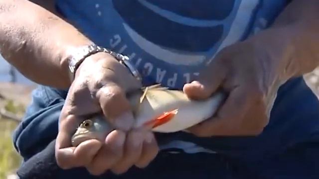 05.08.2014 Новости Нашего Города г.Ноябрьск 19:30 (Часть 1) смотреть онлайн