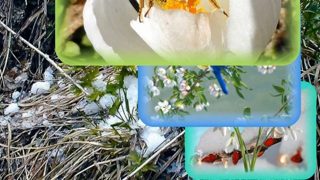 Весна первый день смотреть онлайн