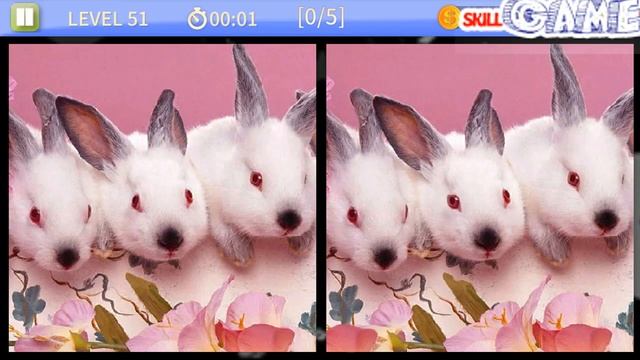 Find & Spot the difference game | Rabbit Pack | Level 1 - 100 Walkthrough смотреть онлайн