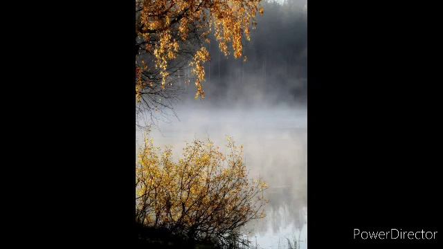 Осеннее утро смотреть онлайн