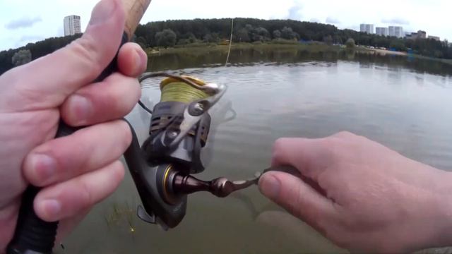 Отличный клёв карася. Фидер. Август. смотреть онлайн