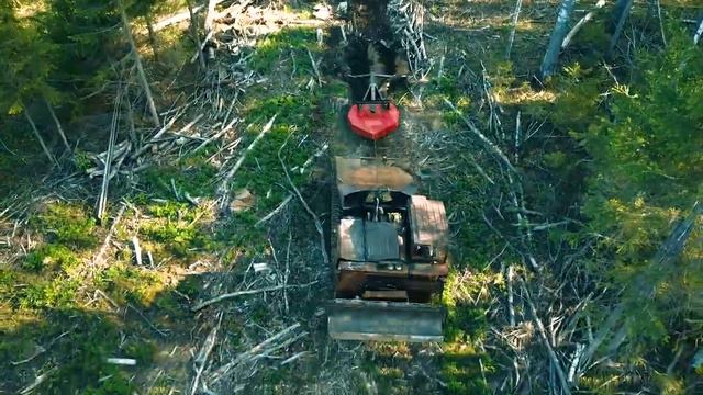 ПЛУГ ЛЕСНОЙ ПЛМЛ-001Ф НА ТДТ-55, ТТ-4 (прицепной за трос, трелевочный) Леспромресурс г. Киров смотреть онлайн