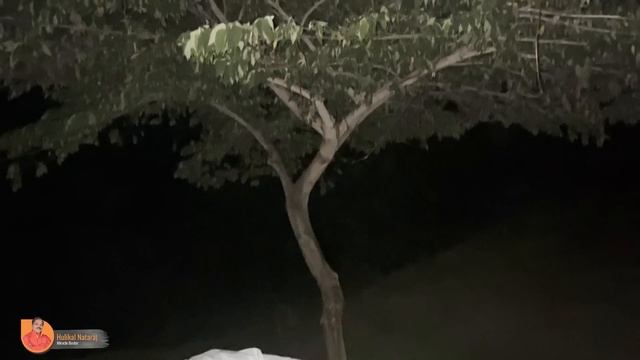 ಎರಡುಗಂಟೆ ಭೂತ ಇದ್ದ ಗೋರಿಯ ಮೇಲೆ ಮಲಗಿದ ಹುಲಿಕಲ್ ನಟರಾಜ್ ಅವರಿಗೆ ಆದ ವಿಚಿತ್ರ ಅನುಭವ !! I Hulikal Nataraj смотреть онлайн