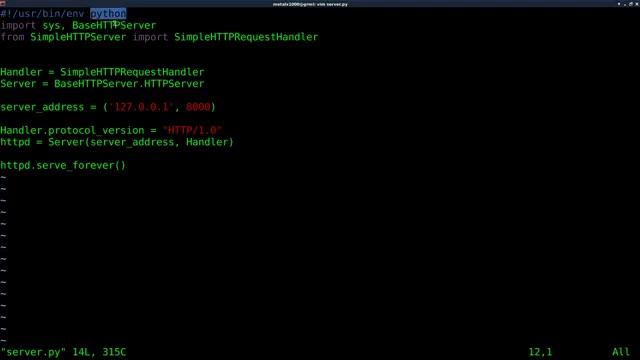 Setup a Webserver with Python Linux Tutorials clip22 смотреть онлайн