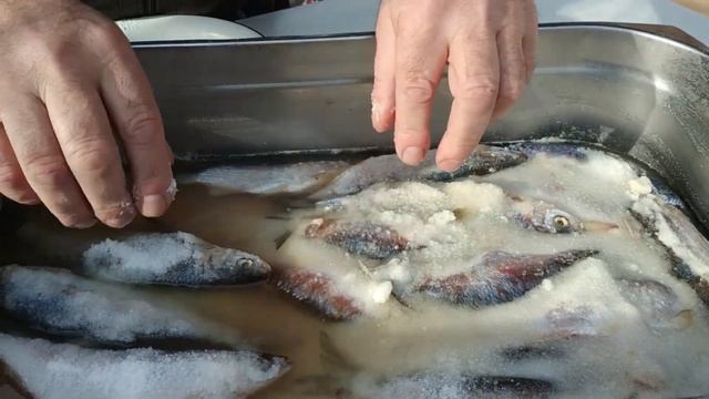 Шемайка-"царская рыбка" смотреть онлайн