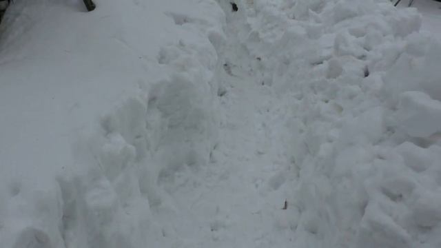 Стоит ли так поступать с зимующими пчелами смотреть онлайн