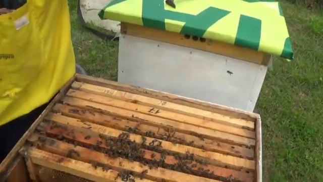 6 мая можно долго смотреть как работают другие люди смотреть онлайн