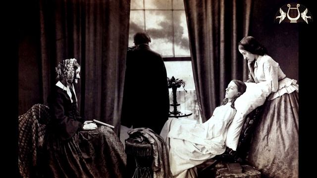 Дистанционная фотовыставка «День фотографа». смотреть онлайн