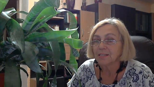 Поговорим о цветах! Эхмея.