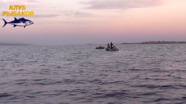 Ловля судака. Рыбалка летом смотреть онлайн