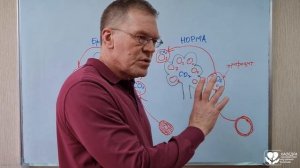 Синдром легочной гипертензии, синдром «легочного сердца»