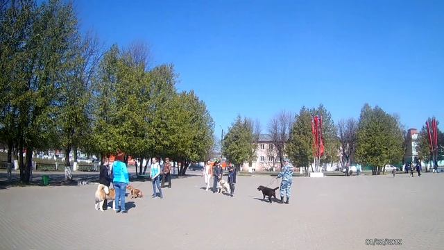 Парад собак. 1 мая 2019.Шуя. Часть 2. смотреть онлайн