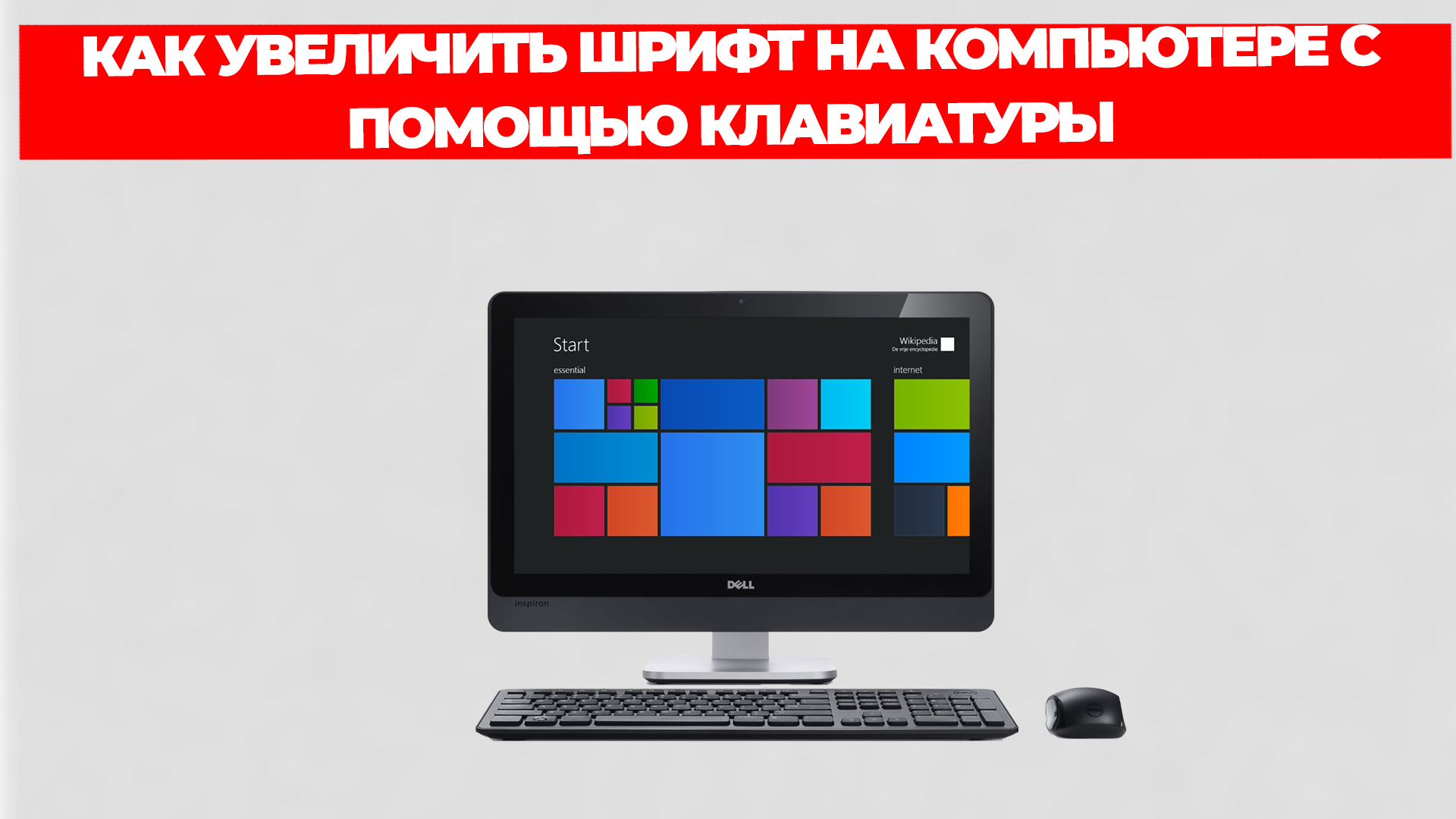 Всезнающий Енот