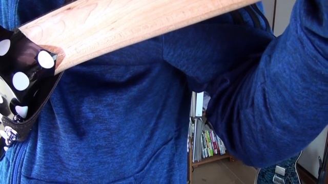 Randy Rhoads Polka Dot V and spotlight solo cover смотреть онлайн