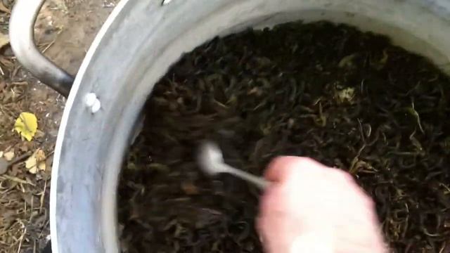 Кулинарное чудо на каждый день 