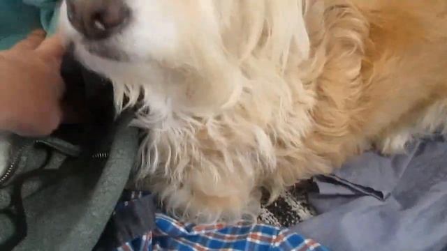 Мастерство и Индивидуальное Творчество