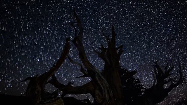 8Dio Score This: Constellations – Ebrahim A. Ebrahim – "Supercluster (The Mysteries Beyond)" смотреть онлайн