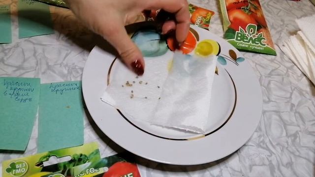 Простой способ замочить семена помидор смотреть онлайн