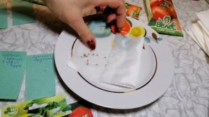 Простой способ замочить семена помидор