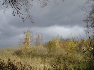 Иеромонах Роман. «Сон мне приснился…»