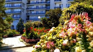 Санаторий «Узбекистан» Ялта, Крым