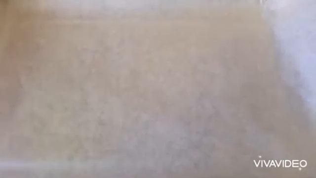 Наука о Здоровье и Жизни