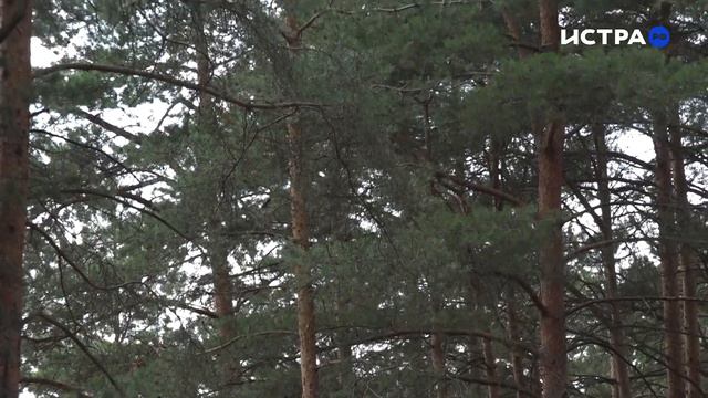Борьба за сохранение пойменных лугов вблизи Красновидова приняла новый оборот смотреть онлайн