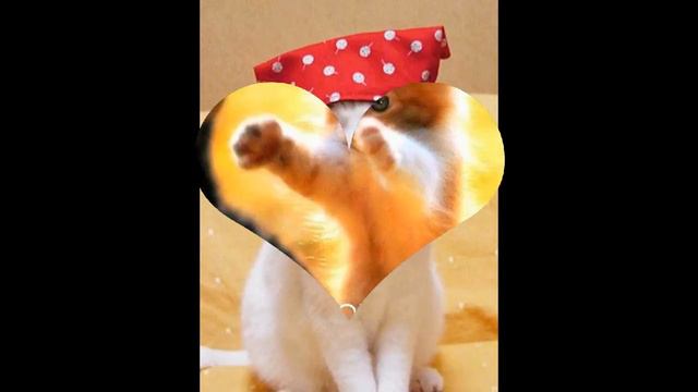 Их любить не возможно! смотреть онлайн