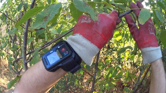 Лекция: Живой дом приносит первые плоды Ч 1 смотреть онлайн