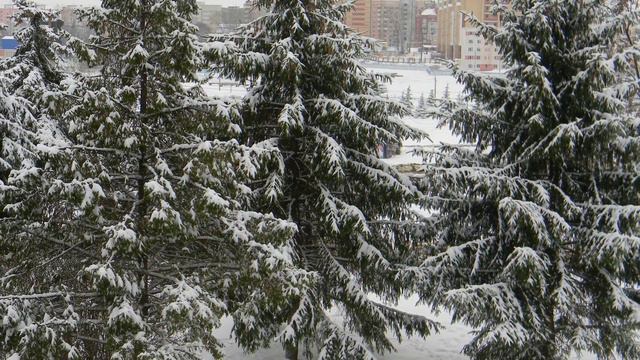 Побываем в прошлом. 5 часть . С 2010 года. #778 смотреть онлайн