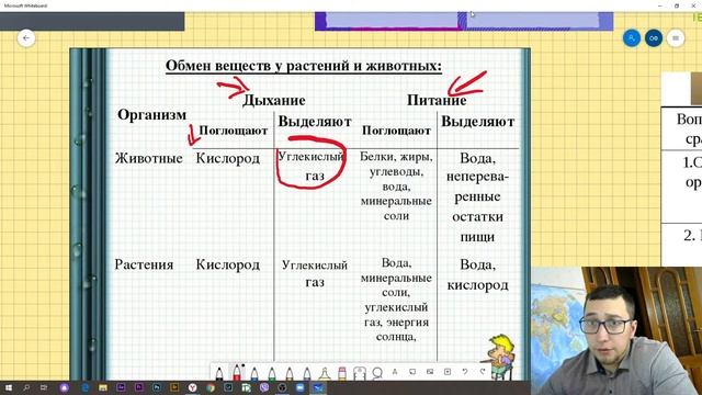 Биология 6 класс| Что мы узнали о живых организмах смотреть онлайн