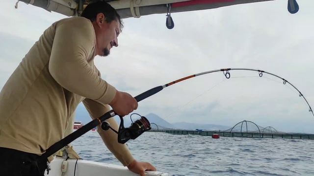 canlı ile kuzu avı Finike balık avı #antalya #biggamefishing #amberjack #bigfish смотреть онлайн