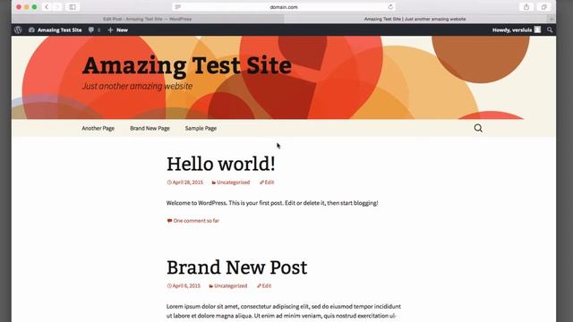 WordPress 103: Posts and Pages смотреть онлайн
