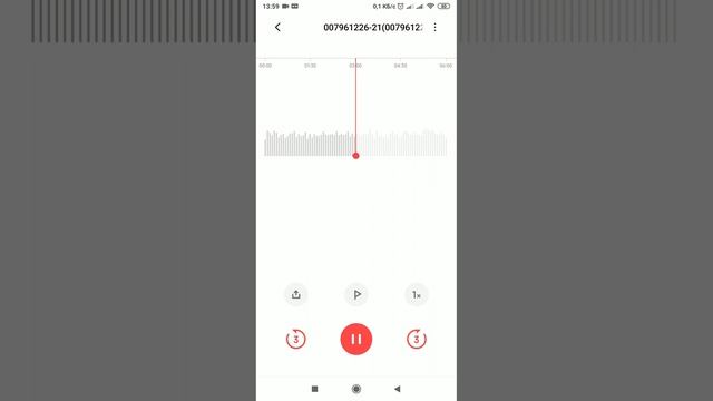 Бабушка с обязательствами
