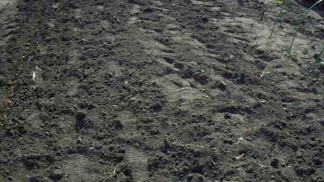 Посадка лука, Вскопал землю с пользой))) смотреть онлайн