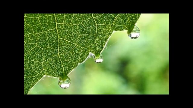 Запретный плод - История Адама и Евы. Часть 5 смотреть онлайн