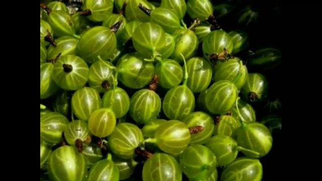 Чистка с легким сердцем