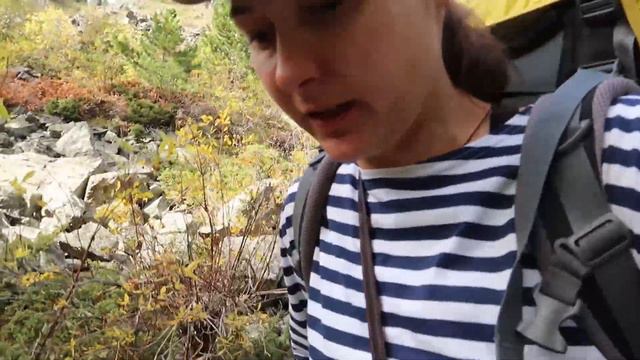 Outdog trekking | Поход по Алтаю с собаками | 3 - Радиалка на Кучерлинском смотреть онлайн