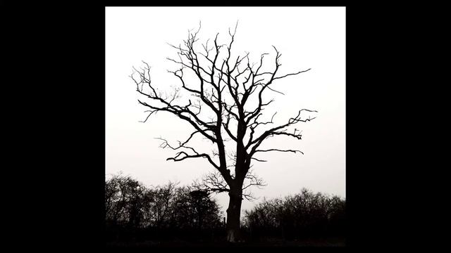 How to make Minecraft look nice on PC (Java Version) смотреть онлайн